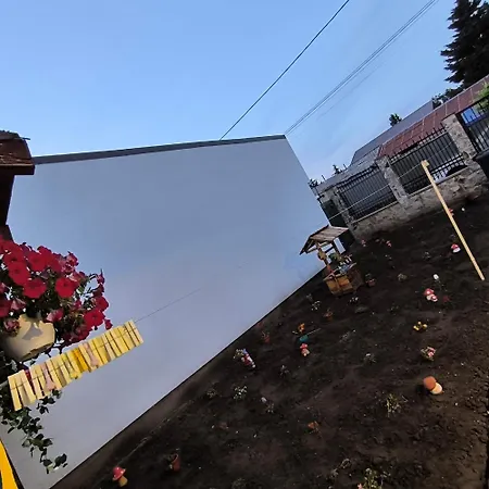 Feriehus Casa De Vacanta Anni - 2 Min De Piata